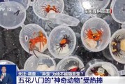 盘锦@铲屎官们 养“异宠”或危害国家安全 这些行为违法了