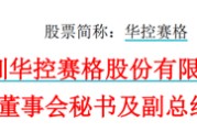 盘锦华控赛格董事长、董秘、副总经理三高管同日辞职