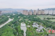 盘锦西宁市举办六五环境日主题宣传活动